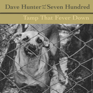 Dave Hunter and the Seven Hundred
